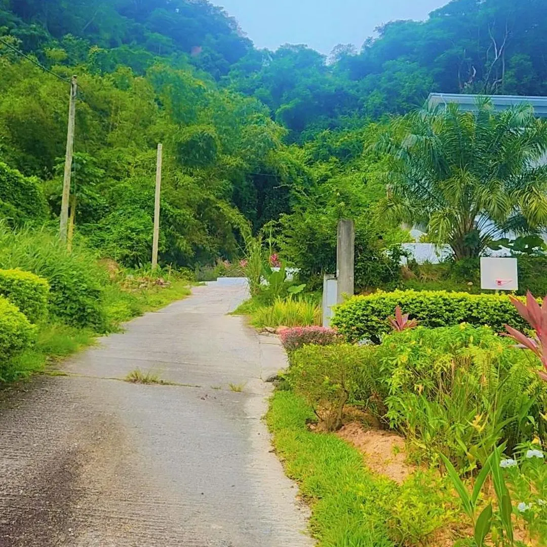 Apartamento Wild Vanilla Beau Vallon  Seychelles