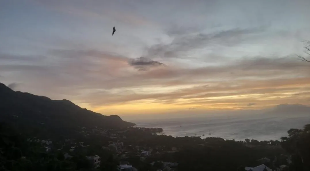 Wild Vanilla Apartment Beau Vallon