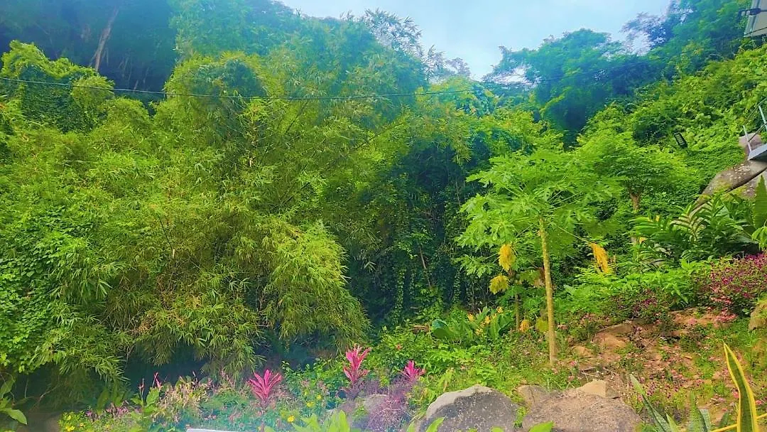 Wild Vanilla Apartment Beau Vallon  0*, Beau Vallon (Mahe) Seychelles